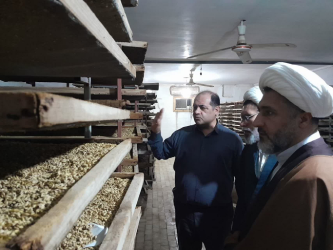 دستور کار سازمان، حذف سموم پر خطر و تولید محصول سالم است