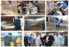 برگزاری اردوی جهادی دامپزشکی در شهرستان گالیکش