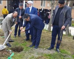 کاشت ۳۵۰۰ اصله نهال با همت و تلاش کارگزاران خدمات زیارتی استان گلستان