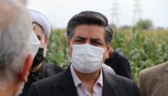 ۳۰ هزار کیلومتر کابل خودنگهدار جایگزین شبکه فرسوده برق کشور شد