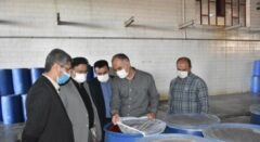 بازدید مدیران از کارخانه صنایع غذایی کامنوش گلستان به مناسبت هفته دفاع مقدس
