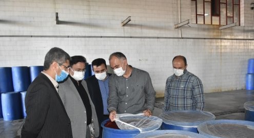 بازدید مدیران از کارخانه صنایع غذایی کامنوش گلستان به مناسبت هفته دفاع مقدس
