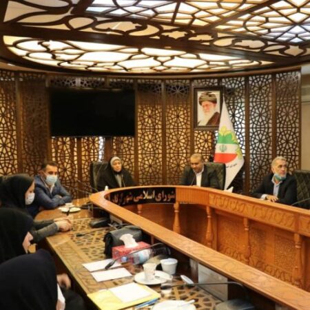نشست هم اندیشی کمیسیون بانوان شورا با بانوان اصحاب رسانه برگزار شد