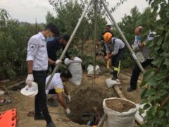امدادرسانی آتش نشانی شهرداری گرگان در حادثه سقوط دو کارگر به چاه 20 متری