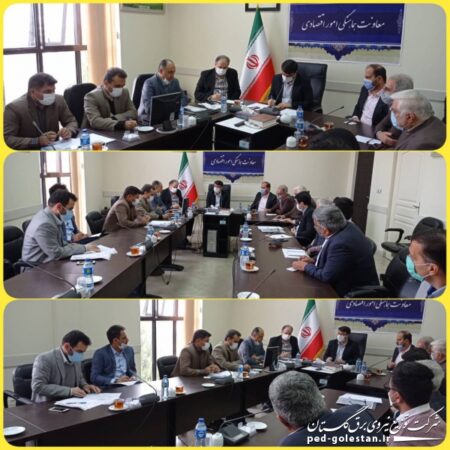 مشکلات برق شرکت های ماهوت شمال و فولاد رسام در شهرک صنعتی علی آباد کتول بررسی شد