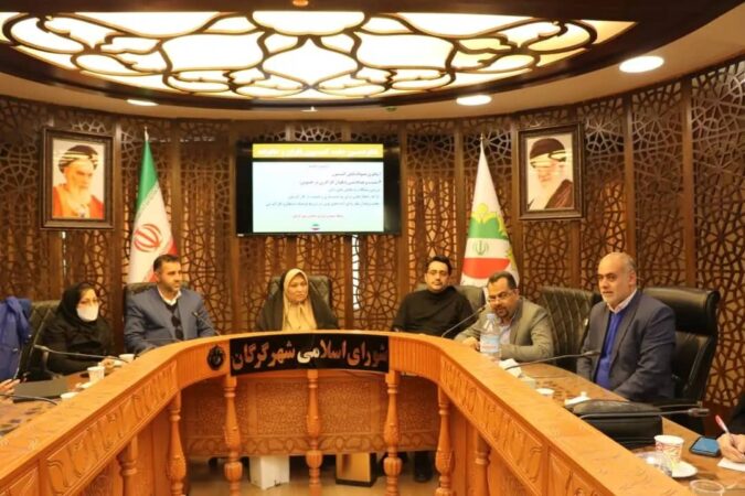 مشکلات بانوان کارآفرین در کمیسیون بانوان شورا بررسی شد