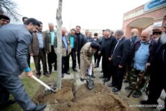 ۶ هزار اصله نهال شهری در سال جاری کاشته شد