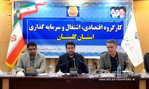 عابدی، برنامه های پیشنهادی سیاست های کلی توسعه استان را در راستای تحقق شعار سال ارائه نمود