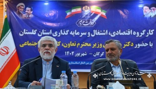 رشد ۲۰۰ درصدی گلستان در صدور مجوزهای اشتغالزا