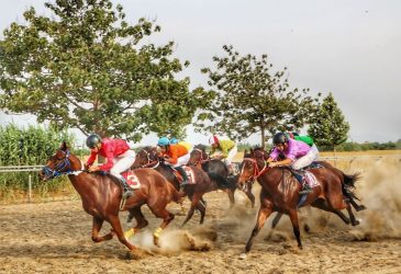 تاخت ۴۸ اسب در روز اول هفته دهم کورس بندرترکمن در ۶ دور