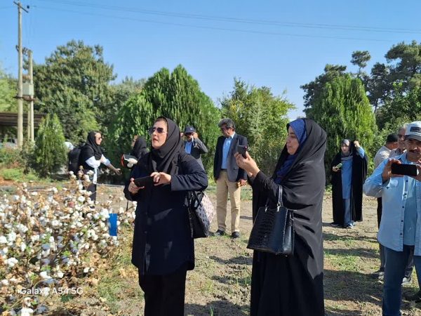 برگزاری تور رسانه ای خبرنگاران گلستان در ایستگاه تحقیقات پنبه هاشم آباد