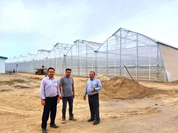 پروژه گازرسانی گل خانه یاسان دیارگلستان با ۷۵ درصد پیشرفت درحال انجام است