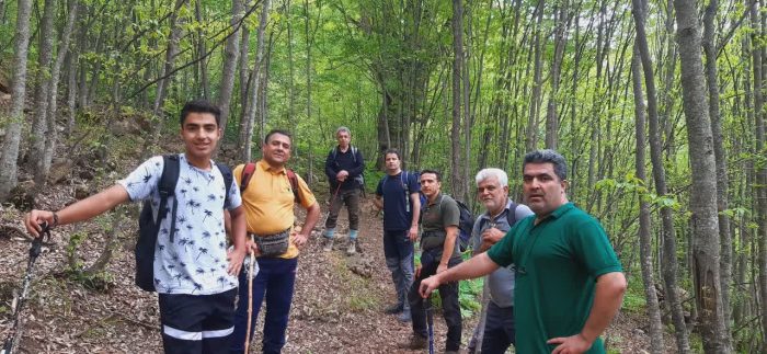 صعودی دیگر برای گاز گلستان