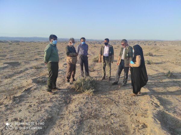 بازدید مدیرکل منابع طبیعی و آبخیزداری استان گلستان از پروژه سرشاخه گیر آق سو شهرستان کلاله