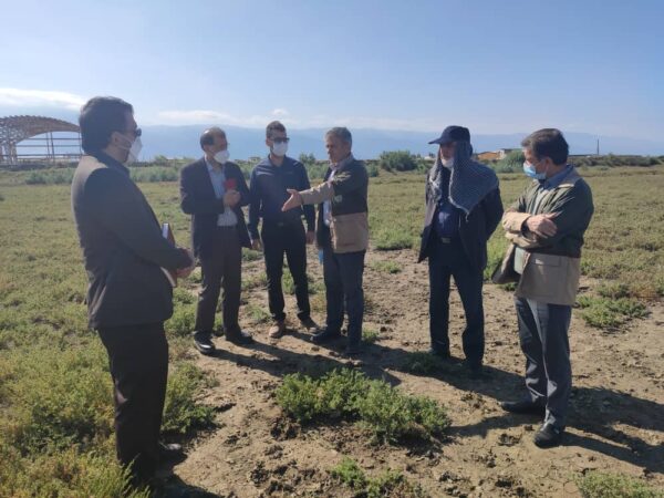 هدف‌گذاری توسعه زراعت چوب در شهرستان بندرترکمن با مساحت 500هکتار