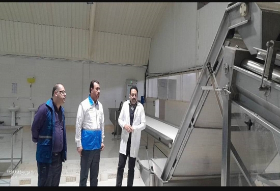 بازدید میدانی مدیر کل دامپزشکی استان گلستان از مرکز فرآوری میگو شرکت تعاونی آبزی فرآور صدر گلستان
