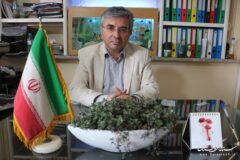 صيد بيش از 125 هزار كيلوگرم ماهي استخواني از آبهاي استان