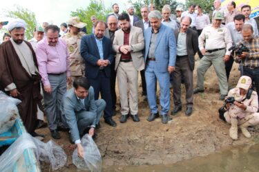 رهاسازی بیش از ۲۲۰ میلیون قطعه بچه ماهی استخوانی و خاویاری در دریای خزر
