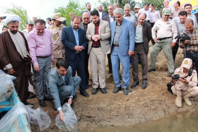 رهاسازی بیش از ۲۲۰ میلیون قطعه بچه ماهی استخوانی و خاویاری در دریای خزر