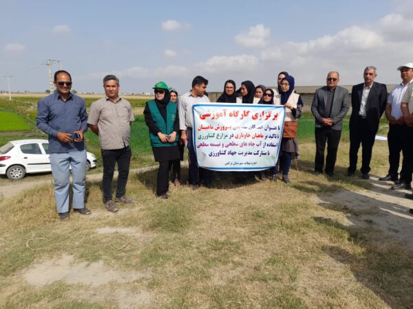 رئیس اداره شیلات شهرستان بندرترکمن خبر داد: برگزاری دوره آموزشی «بهره برداری بهینه از آب چاههای مجاز کشاورزی» در بندرترکمن