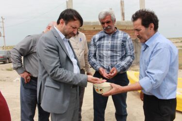 سرپرست اداره کل شیلات گلستان : تاکنون ۲۵۰ میلیون قطعه بچه میگو در مزارع پرورش میگو گمیشان ذخیره شده است