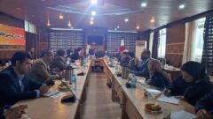 بیش از ۱۷۰ سالمند در گلستان/ دستگاه ها در بحث مناسب سازی بیشتر همکاری کنند