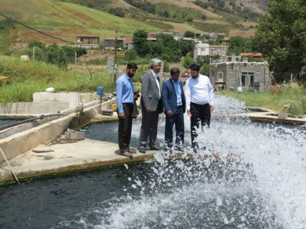 بازدید فرماندار شهرستان گالیکش از مزارع پرورش ماهی این شهرستان