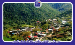 مدیرکل ارتباطات و فناوری اطلاعات استان گلستان : توسعه زیرساخت ارتباط روستایی، ابزاری برای تحول اقتصاد دیجیتال