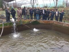 بازدید هیئت تجاری – اقتصادی استان منگستائو جمهوری قزاقستان از ظرفیت های آبزی پروری استان گلستان