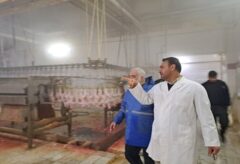 نظارت بهداشتی بر تولید بیش از ۱۶۵ هزار تن گوشت مرغ درکشتارگاه‌های استان گلستان