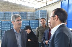 بازدیدمدیر کل تامین اجتماعی گلستان از شرکت های تولیدی غرب استان بمناسبت هفته کار و کارگر