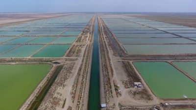 آغار فعالیت پرورش میگو در گمیشان