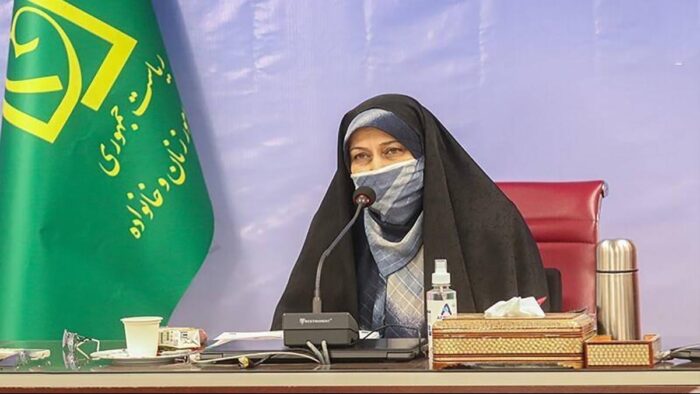 معاون رییس جمهور عنوان کرد: حمایت دولت از خانواده های دارای چند قلو