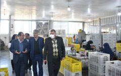 دستمزد مقطوع مبنای کسر حق بیمه مشاغل صنوف در سال ۱۴۰۲