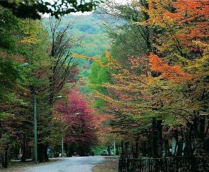 آغاز عملیات اجرایی پارک آبخیز استان و احیای اکوسیستم النگدره