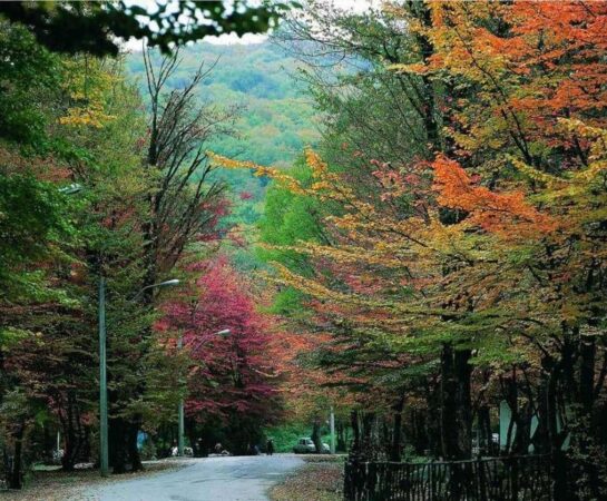 آغاز عملیات اجرایی پارک آبخیز استان و احیای اکوسیستم النگدره