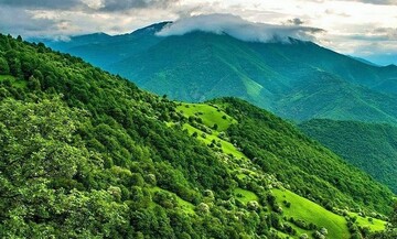 بازگشت زمین هزار و ۶۳۱ مترمربعی به منابع طبیعی در گرگان