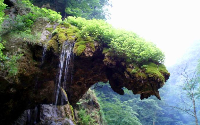 هوای پاک؛ سرمایه فراموش‌شده گلستان
