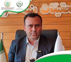 خودکفایی ایران در تولید بذر استاندارد پنبه/رونمایی از ۲ رقم جدید با مشارکت سازمان انرژی اتمی