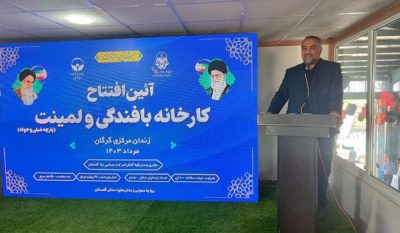 زندانیان نیازمند یادگیری فنون کسب معیشت هستند نه کمکهای معیشتی