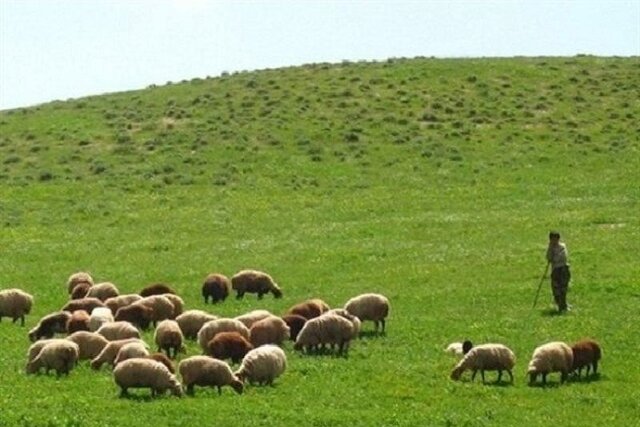 بررسی مورد اختلاف اراضی ملی با بهره برداران مراتع در گنبد کاووس