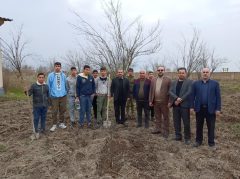 کاشت نهال توسط مدیرکل و کارکنان نوسازی مدارس استان گلستان