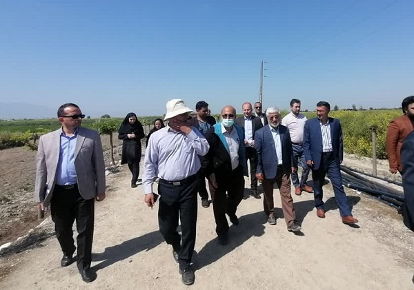 بازدید رئیس و کارکنان دانشگاه جامع علمی کاربردی گلستان به همراه روسای مراکز آموزشی از ایستگاه تحقیقات کشاورزی گرگان
