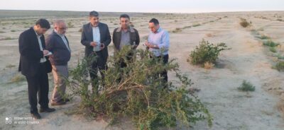 بازدید کارشناسان دفتر امور بیابان سازمان از نهالستان و پروژه های اصلاحی احیایی اجرا شده در مراتع آق قلا
