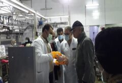 روزانه ۷۰۰ تن گوشت مرغ در کشتارگاه‌ها ی صنعتی طیور استان گلستان استحصال می شود