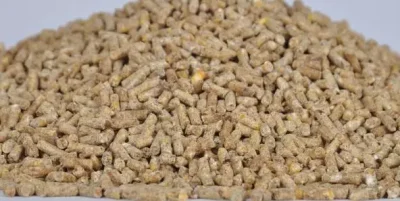 حکم قاچاقچیان خوراک طیور در تعزیرات حکومتی گرگان صادر شد