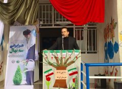 ۲۲۸ هزار اصله نهال در طرح کاشت یک میلیارد درخت سهم شهرستان آق قلا است