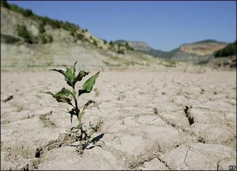 وقوع خشکسالی بسیار شدید در شش ماهه اول سال زراعی در استان گلستان