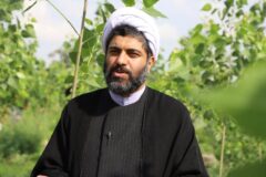 مدیرکل اوقاف و امور خیریه گلستان : اجرای طرح های دانش‌بنیان در امامزاده روشن آباد کردکوی/ گونه صنوبر هیبرید تکثیر می شود