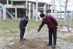 کاشت نهال در راستای توسعه فضای سبز و حفظ محیط زیست